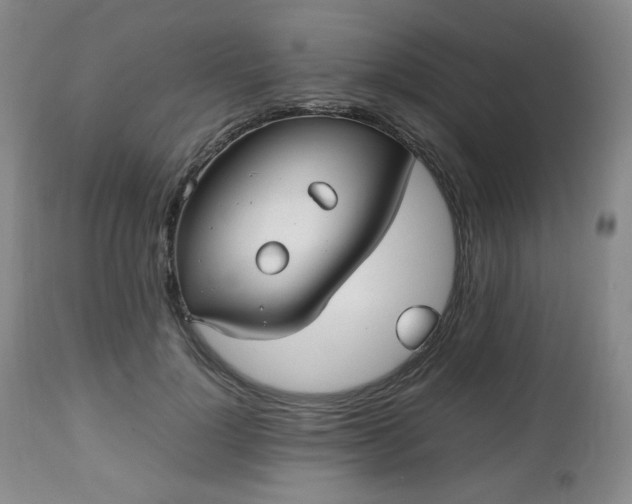 X0000112510748200908241419