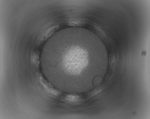 X0000112510749200908241419