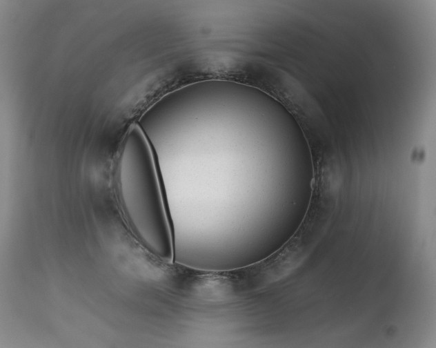 X0000112510750200908241419