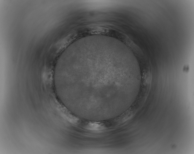 X0000112510753200908241419