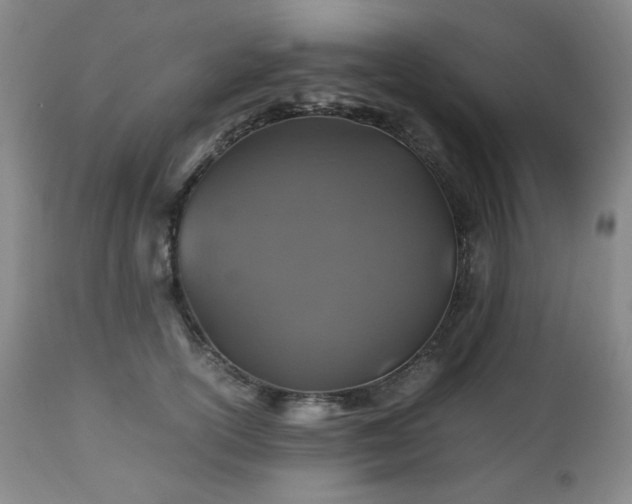 X0000112510754200908241419