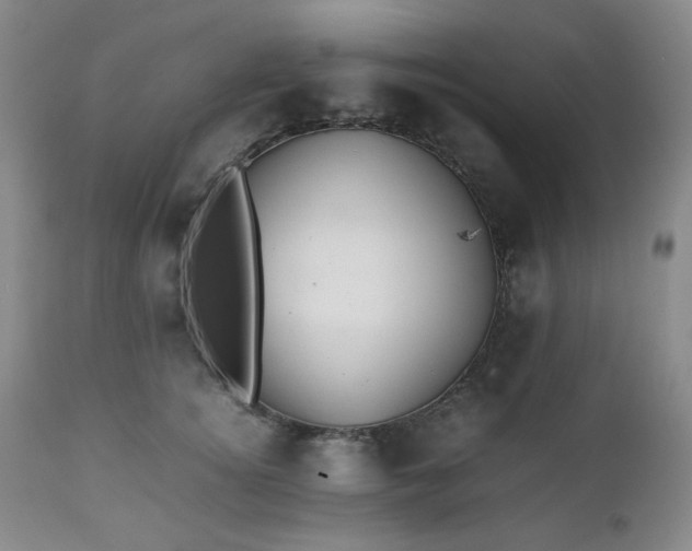 X0000112510756200908241419