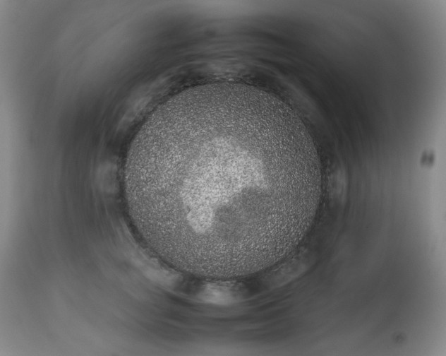 X0000112510757200908241419