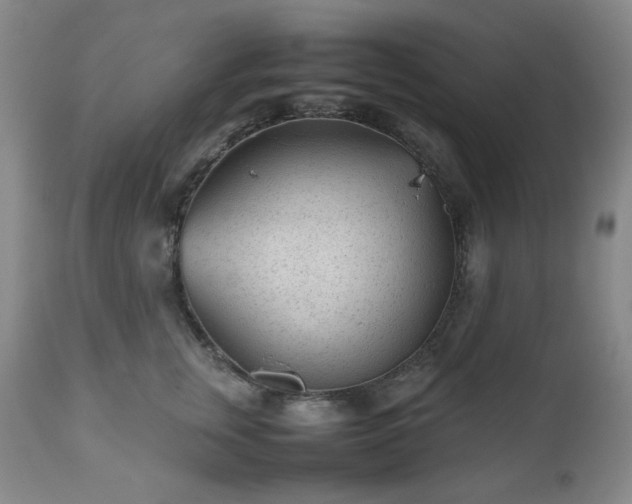 X0000112510759200908241419