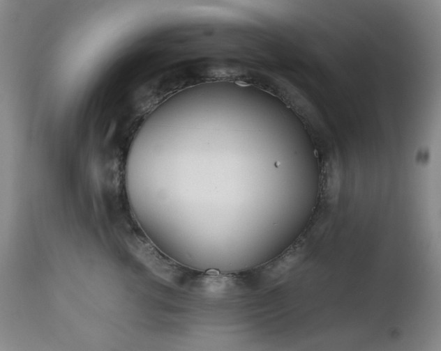 X0000112510762200908241420