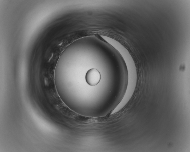 X0000112510764200908241420