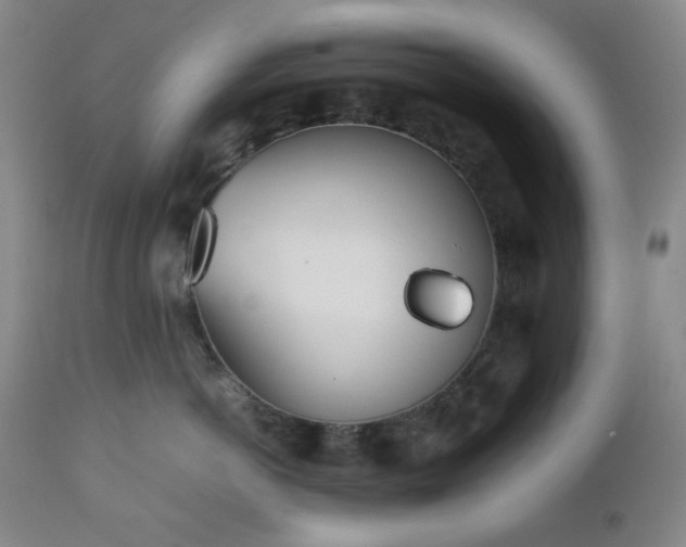 X0000112510766200908241420