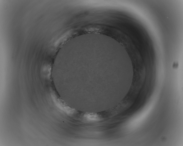 X0000112510767200908241420