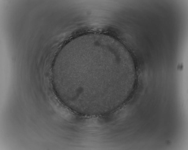 X0000112510769200908241419