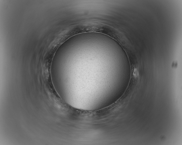 X0000112510771200908241419