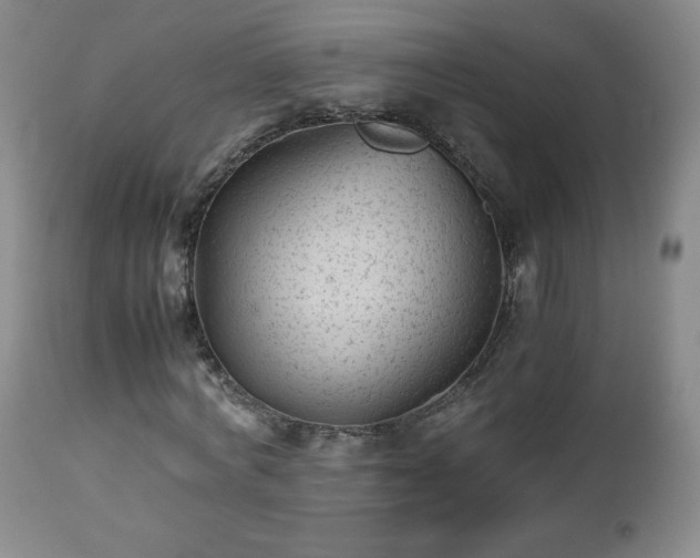 X0000112510772200908241419