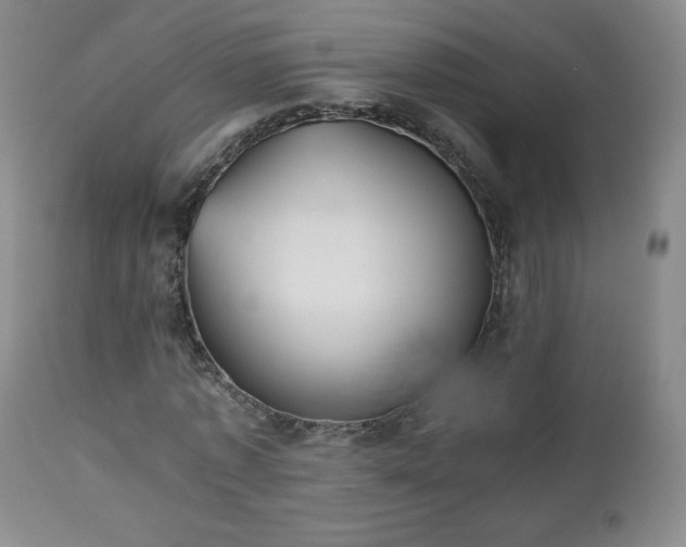 X0000112510773200908241419