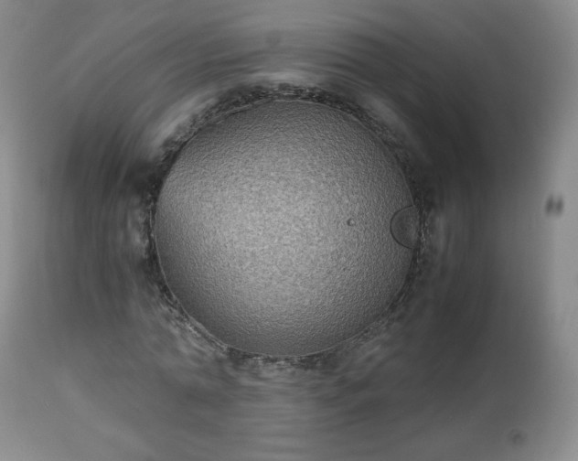 X0000112510774200908241419