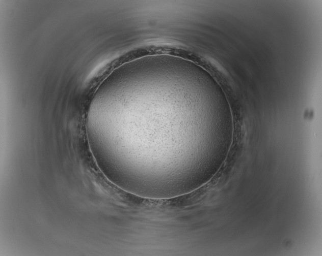 X0000112510775200908241419