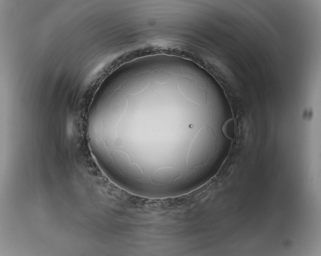 X0000112510776200908241419