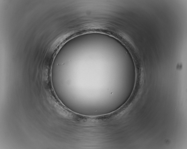 X0000112510777200908241419