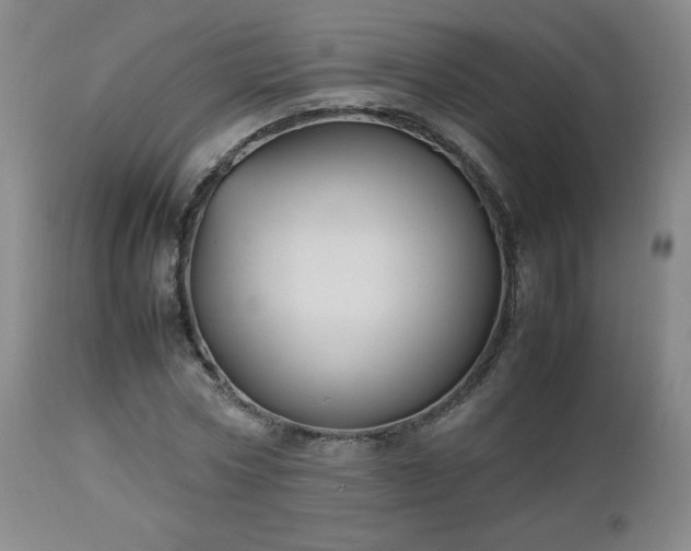 X0000112510778200908241419