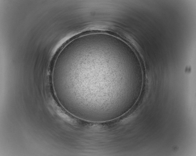 X0000112510779200908241419