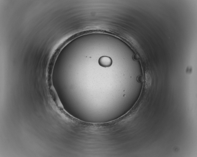 X0000112510780200908241419