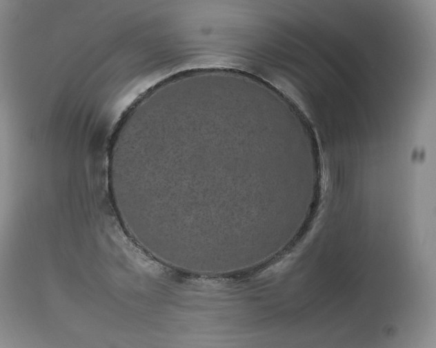 X0000112510781200908241419