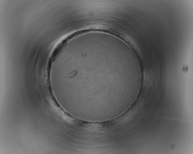 X0000112510784200908241419