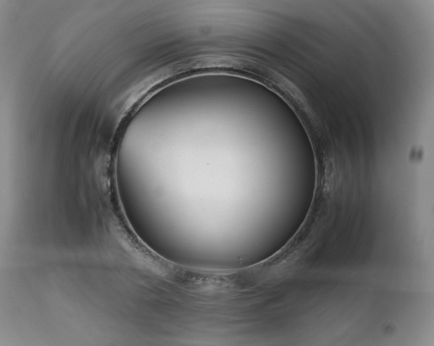 X0000112510786200908241419