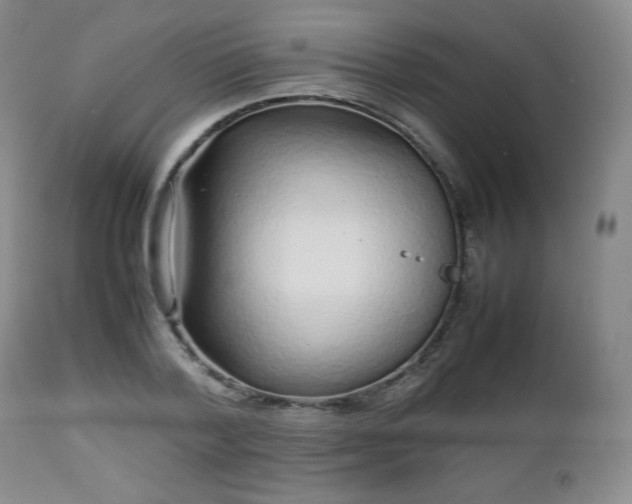 X0000112510788200908241419