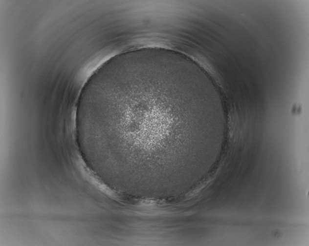 X0000112510790200908241419