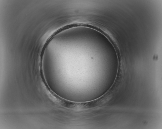 X0000112510791200908241419