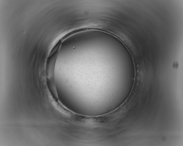 X0000112510792200908241419