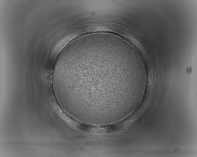 X0000112510793200908241419