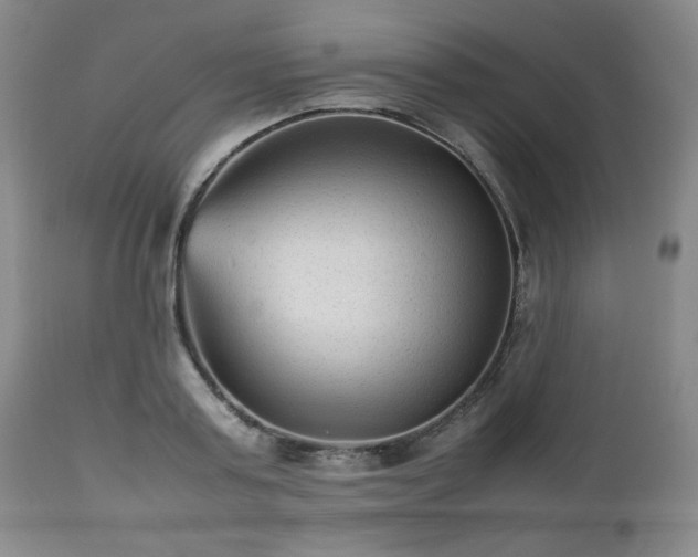 X0000112510795200908241419