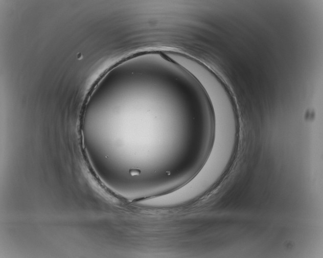 X0000112510797200908241419