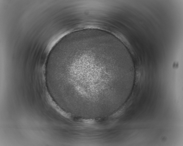 X0000112510798200908241419