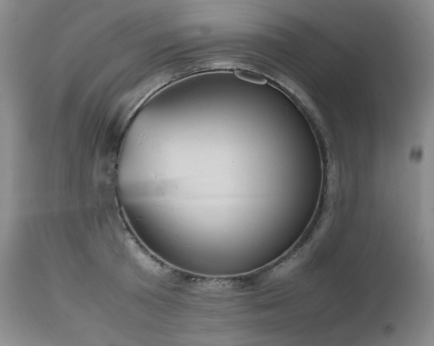 X0000112510801200908241418