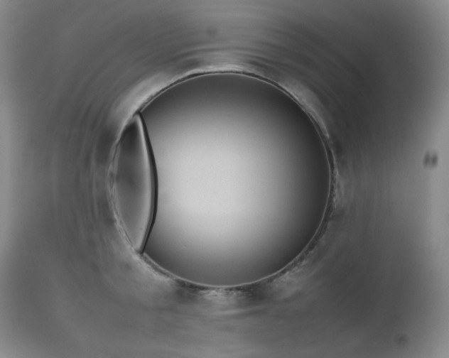 X0000112510805200908241418