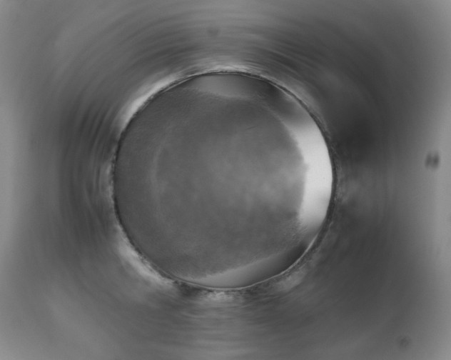 X0000112510806200908241418