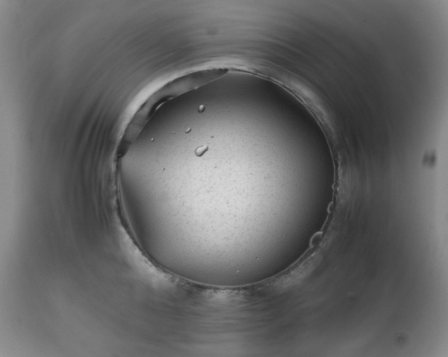 X0000112510808200908241418