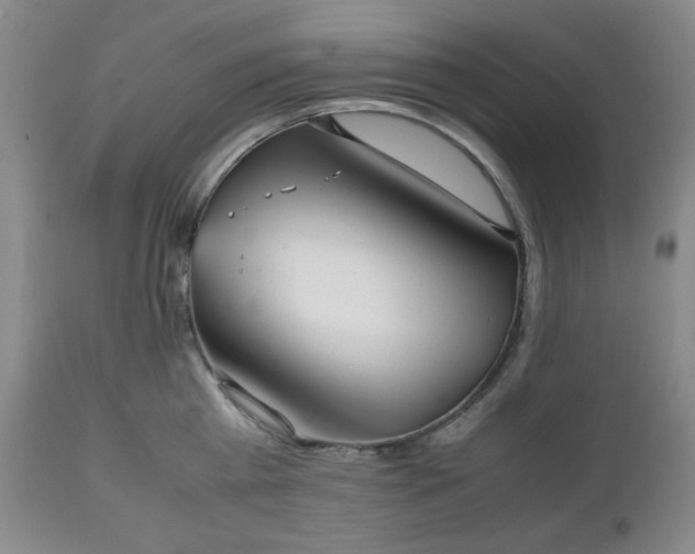 X0000112510809200908241418