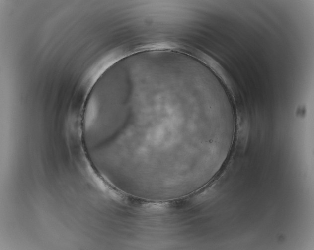 X0000112510810200908241418