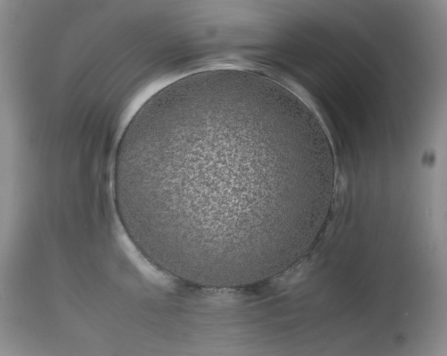 X0000112510811200908241418