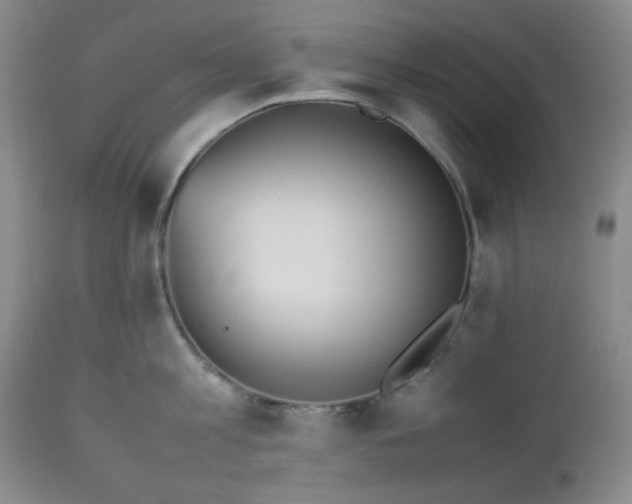 X0000112510813200908241418