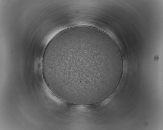 X0000112510814200908241418