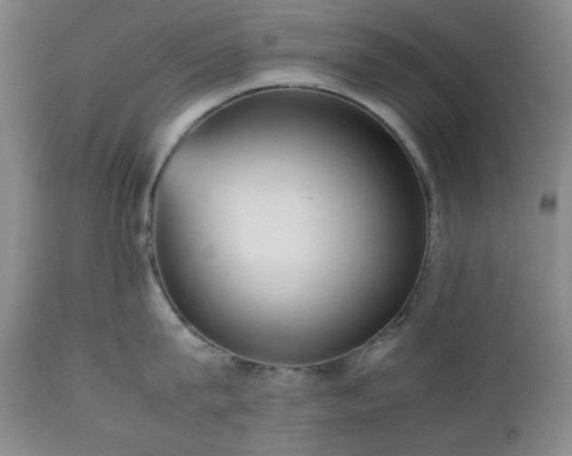 X0000112510815200908241418