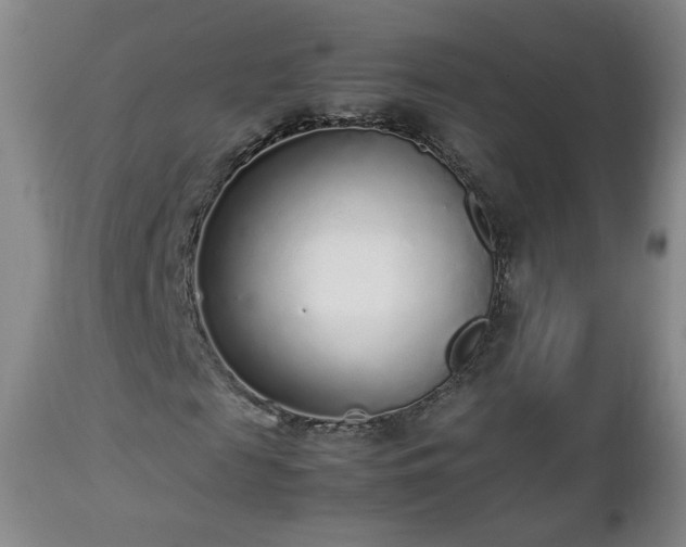 X0000112510817200908241417