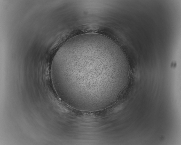 X0000112510818200908241417