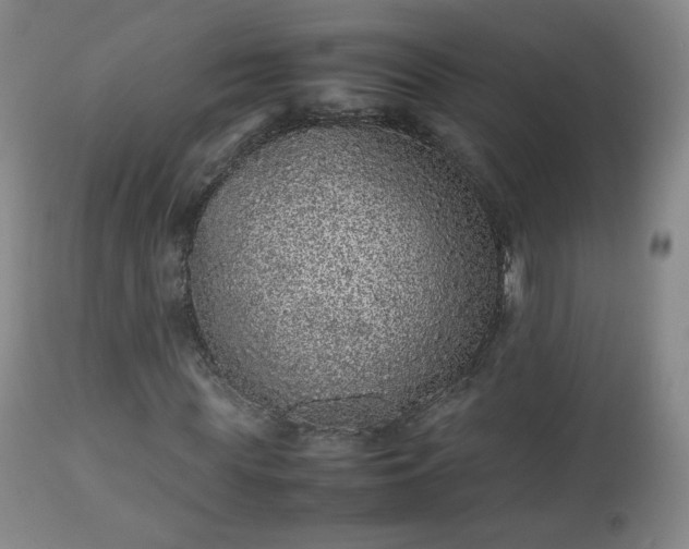 X0000112510819200908241417