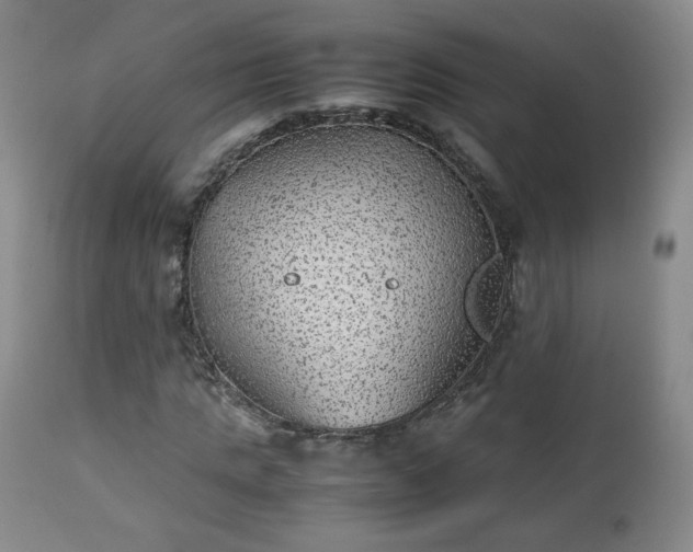 X0000112510821200908241418