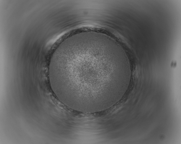 X0000112510822200908241418