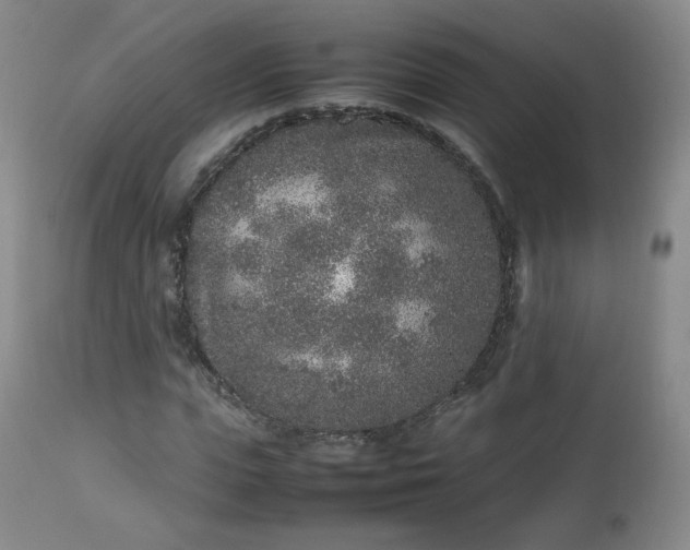 X0000112510823200908241418